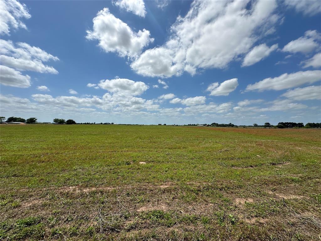 36677 TRACT 4A Brumlow Road, Hempstead, Texas image 8