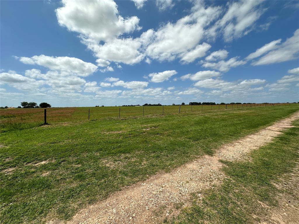 36677 TRACT 4A Brumlow Road, Hempstead, Texas image 11