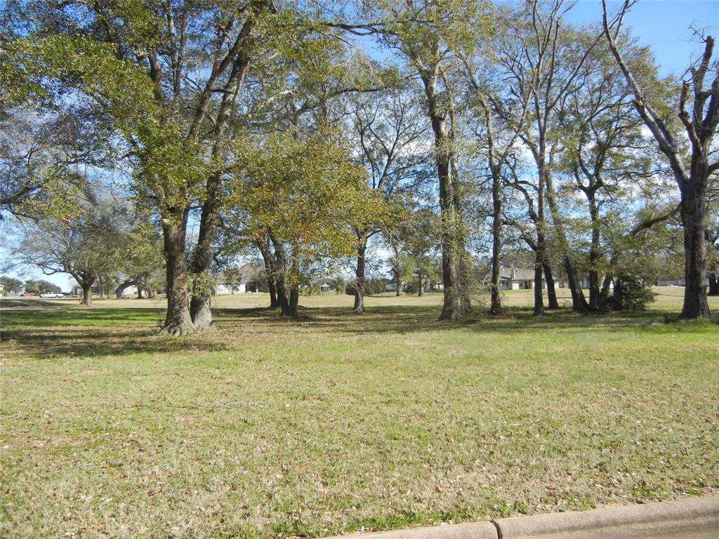 140 Lawrence Marshall Drive, Hempstead, Texas image 7