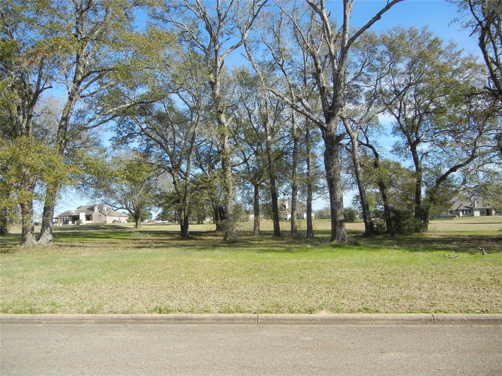 140 Lawrence Marshall Drive, Hempstead, Texas image 6