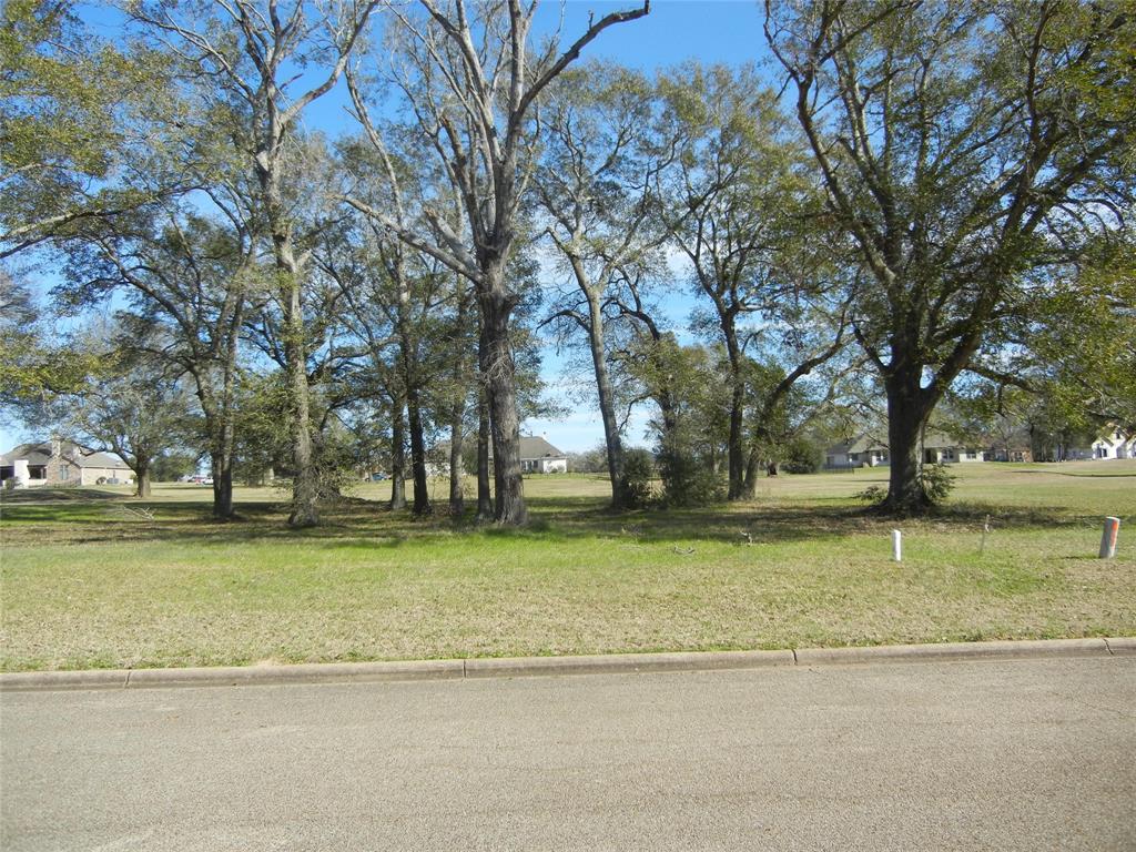 140 Lawrence Marshall Drive, Hempstead, Texas image 8