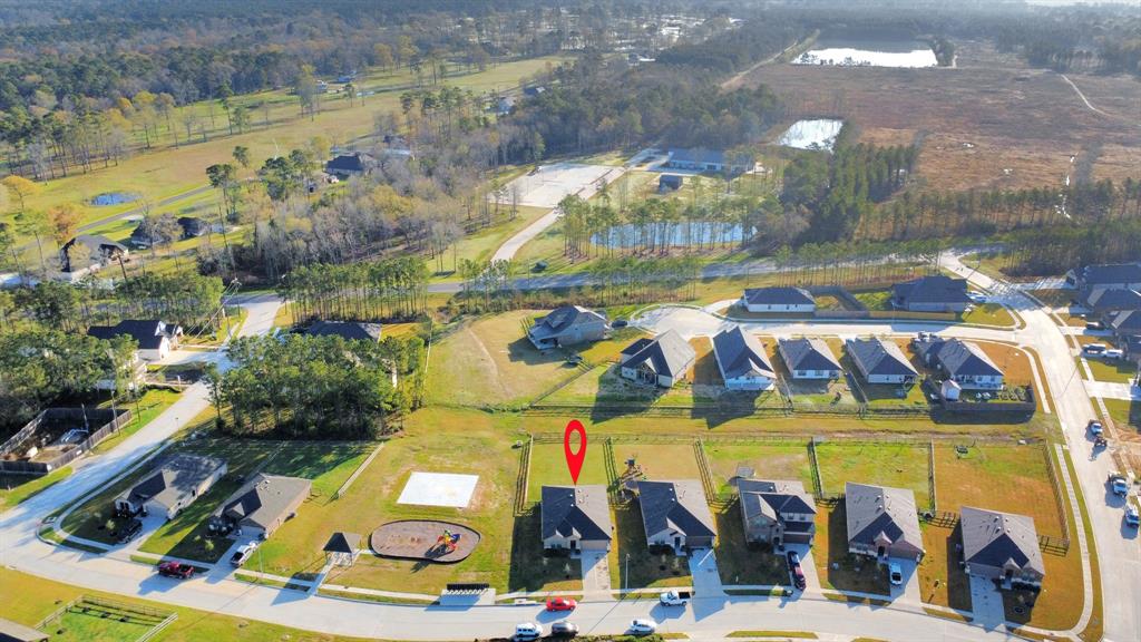 121 Big Sandy Lane, Anahuac, Texas image 37
