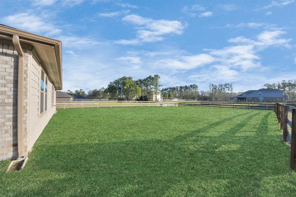 121 Big Sandy Lane, Anahuac, Texas image 32