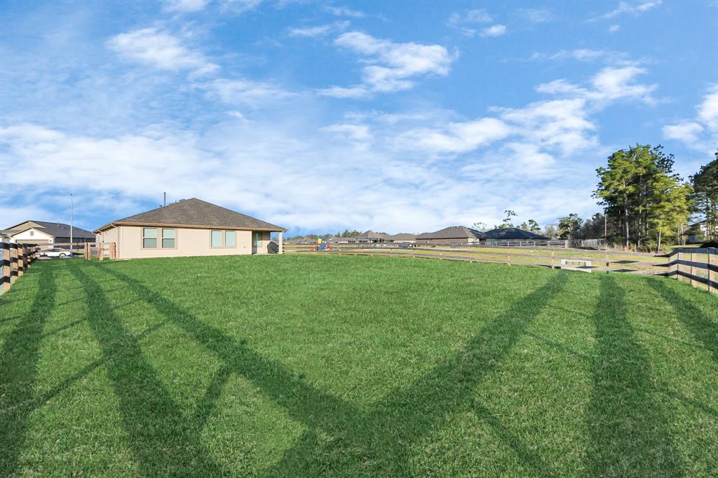 121 Big Sandy Lane, Anahuac, Texas image 33