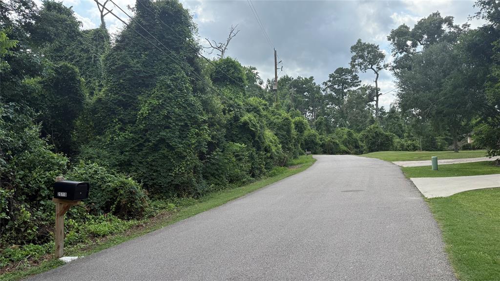 Timber Lakes Drive, Spring, Texas image 2
