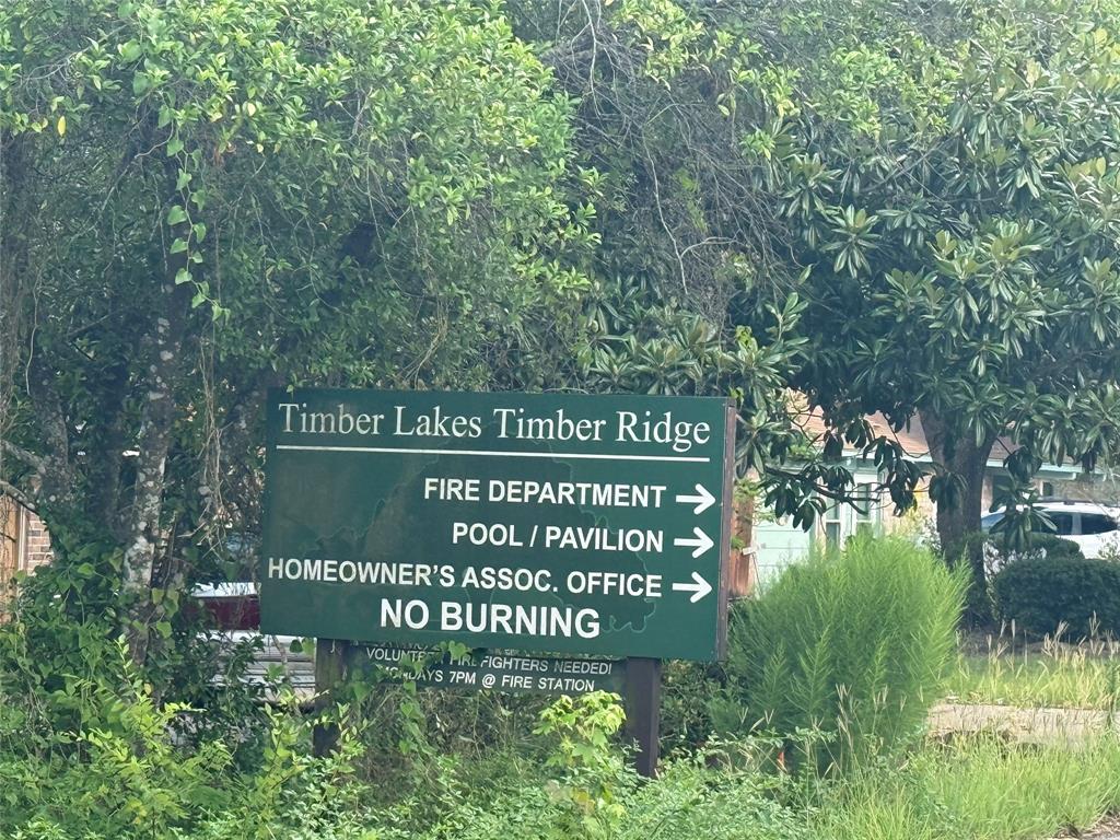 Timber Lakes Drive, Spring, Texas image 5