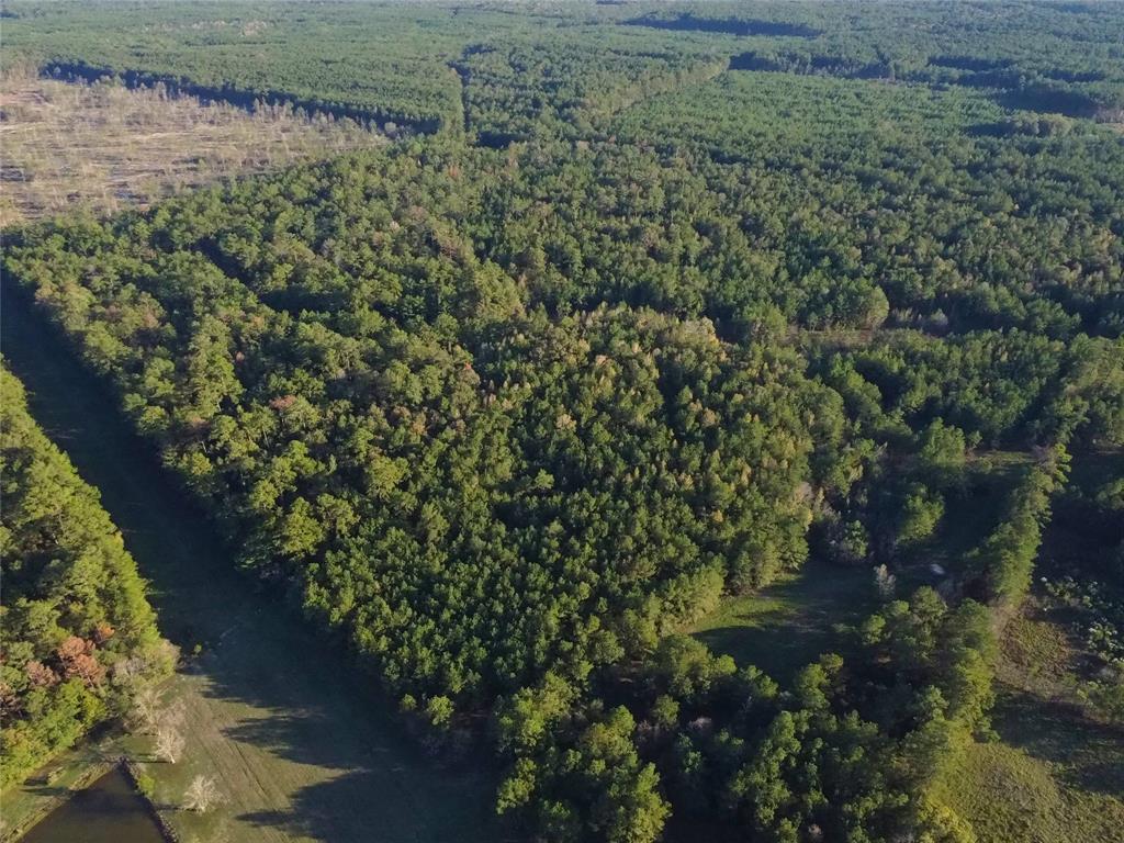 17089 Hwy 105 Highway, Sour Lake, Texas image 7