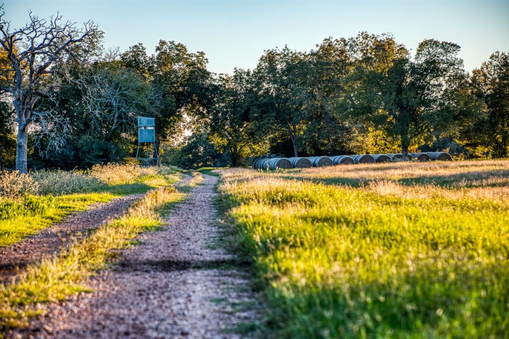 8751 Fm 1371, Chappell Hill, Texas image 43