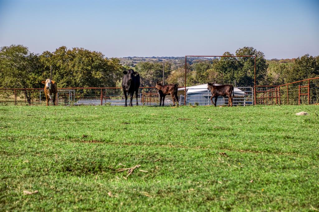 8751 Fm 1371, Chappell Hill, Texas image 10