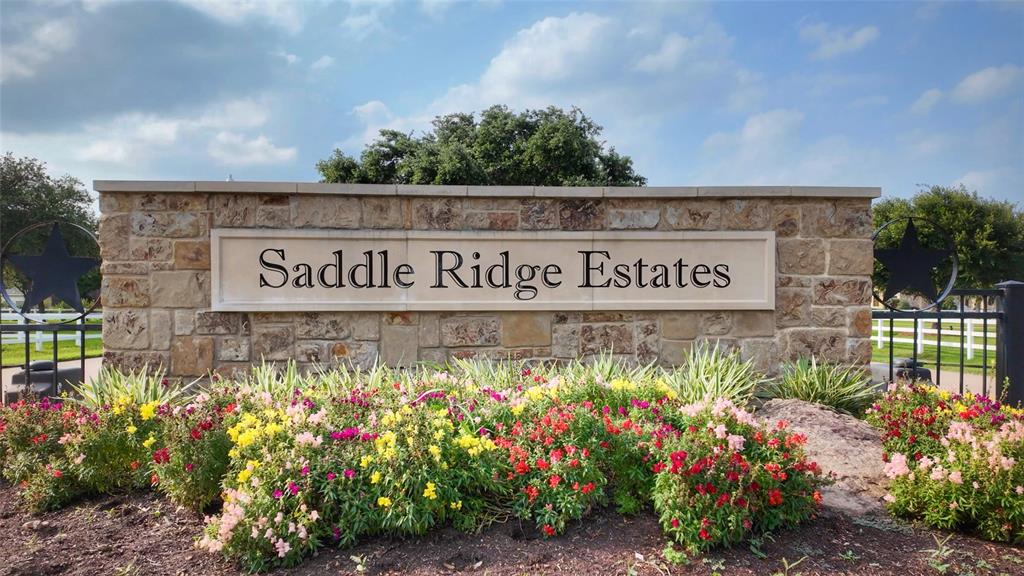 17011 Saddle Ridge Pass