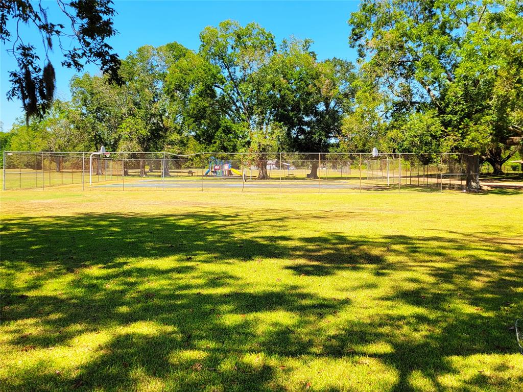 TBD Mockingbird Lane, Shepherd, Texas image 6