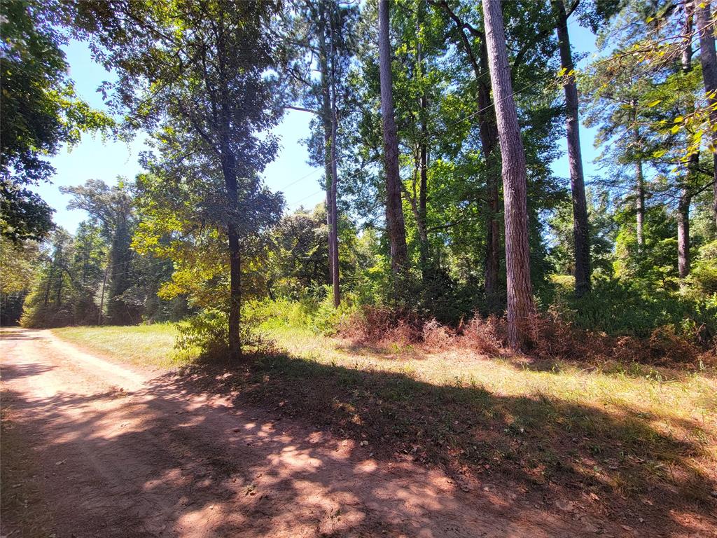 TBD Mockingbird Lane, Shepherd, Texas image 4