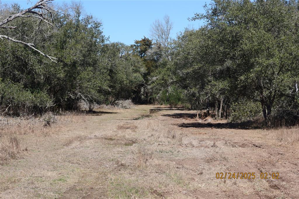 1746 Cr 103, Columbus, Texas image 34