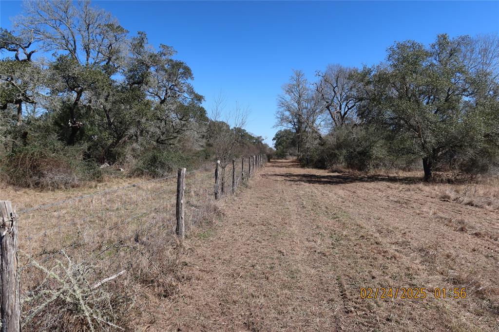 1746 Cr 103, Columbus, Texas image 30