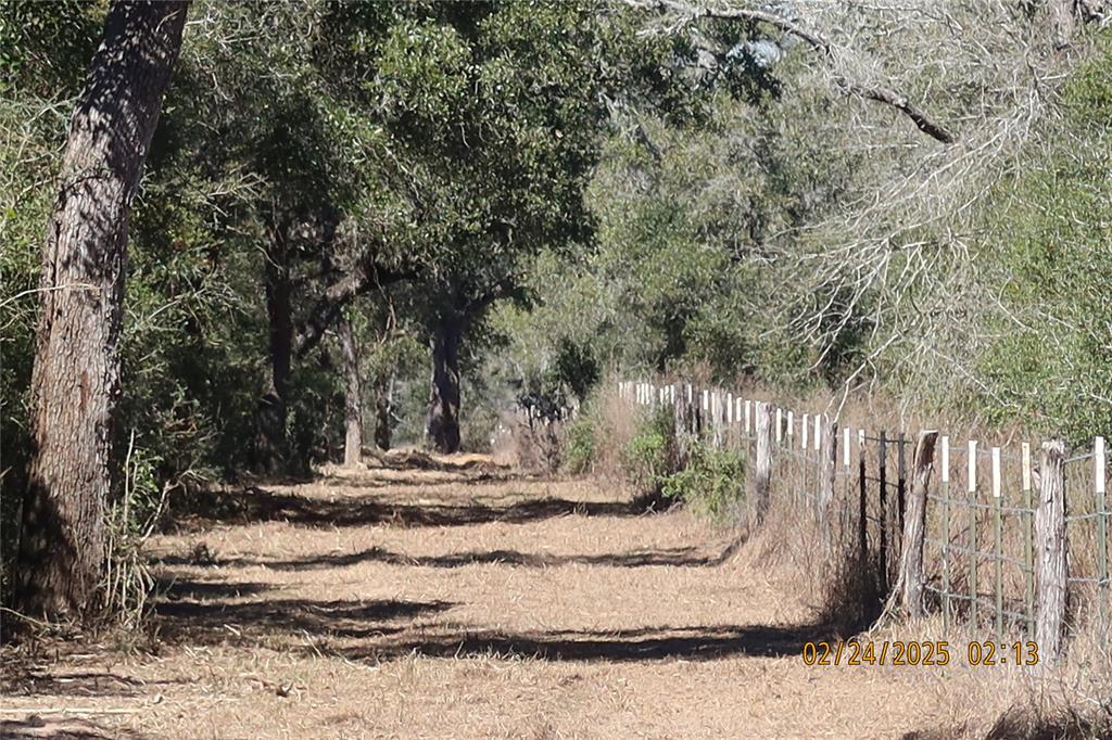 1746 Cr 103, Columbus, Texas image 44