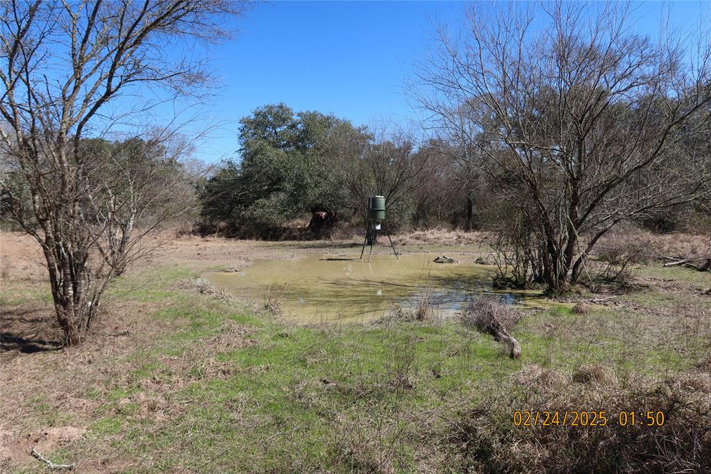 1746 Cr 103, Columbus, Texas image 20