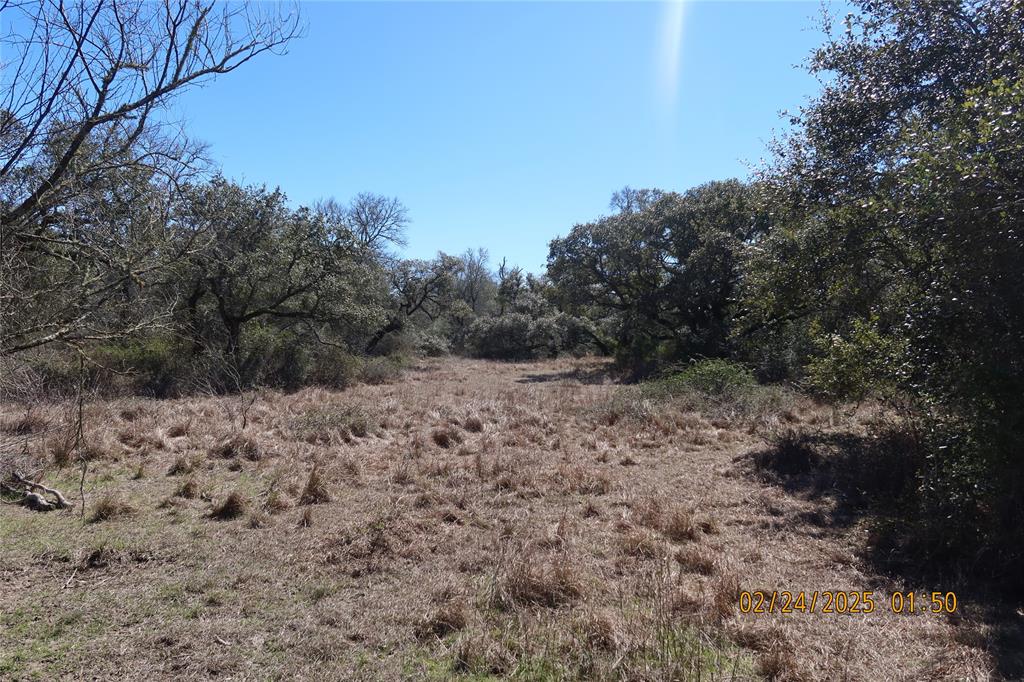 1746 Cr 103, Columbus, Texas image 22