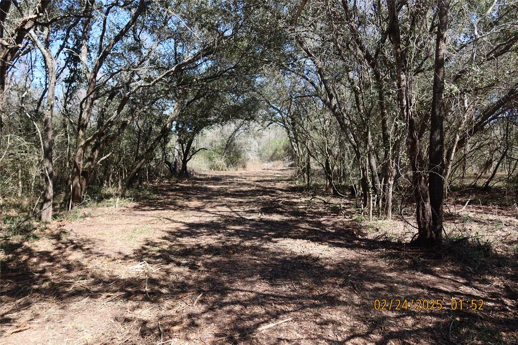 1746 Cr 103, Columbus, Texas image 26