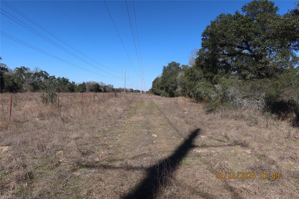 1746 Cr 103, Columbus, Texas image 19