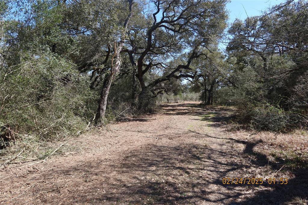1746 Cr 103, Columbus, Texas image 27