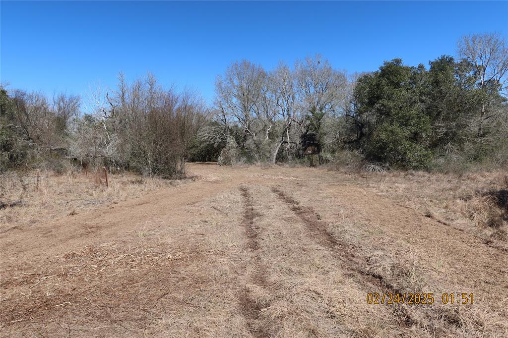 1746 Cr 103, Columbus, Texas image 24