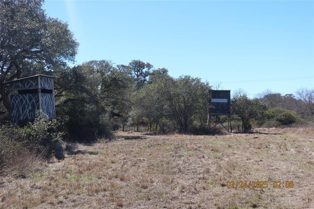 1746 Cr 103, Columbus, Texas image 35
