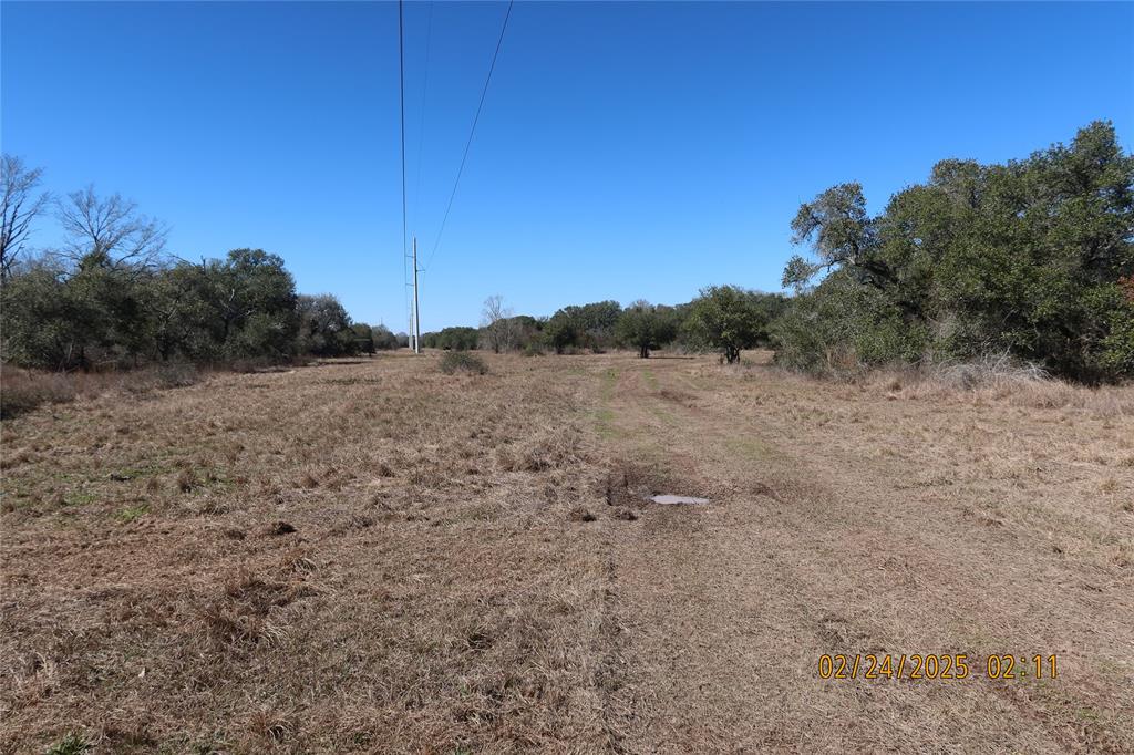 1746 Cr 103, Columbus, Texas image 39