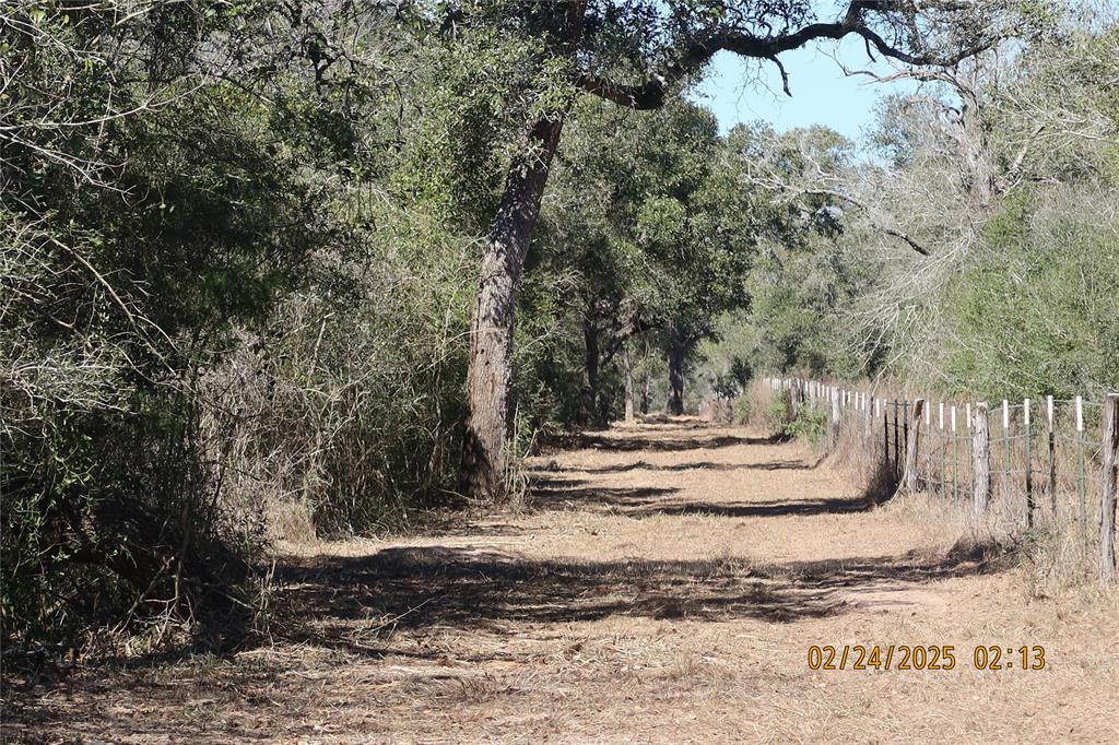 1746 Cr 103, Columbus, Texas image 43