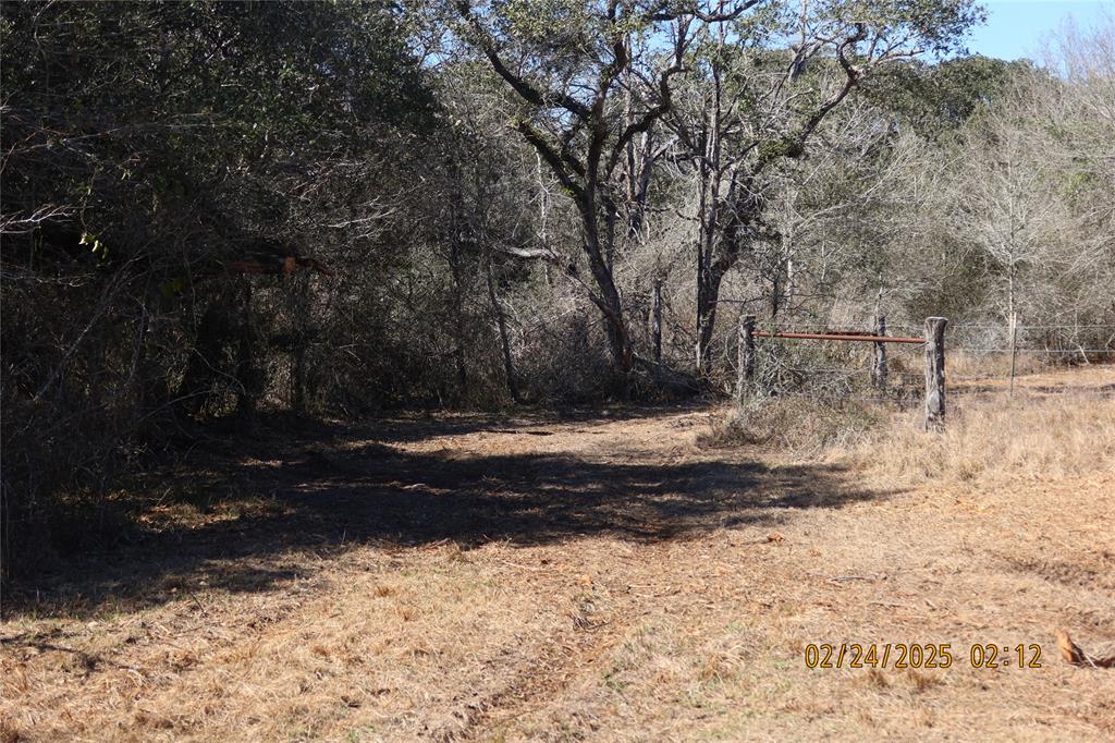 1746 Cr 103, Columbus, Texas image 41