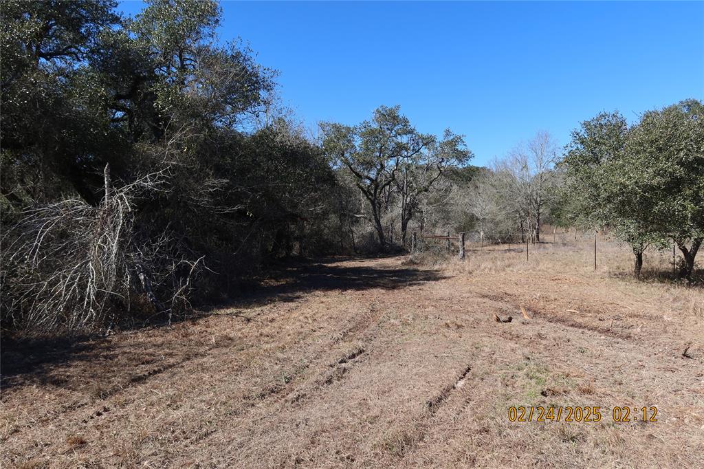 1746 Cr 103, Columbus, Texas image 40