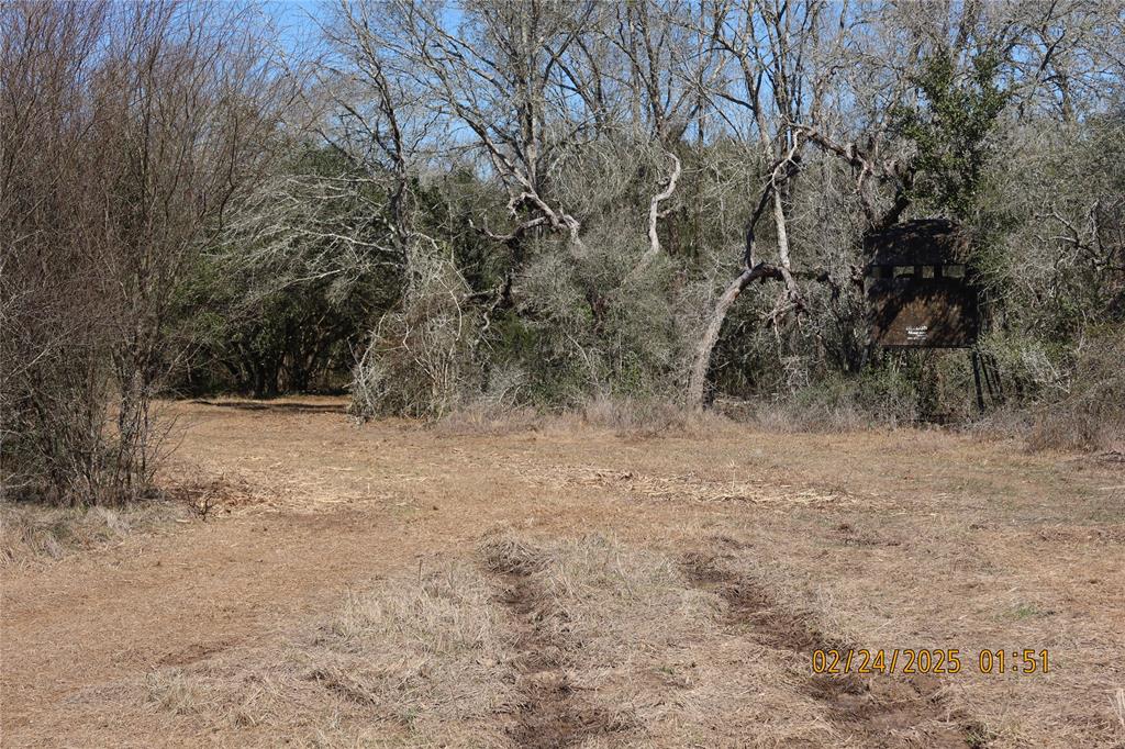 1746 Cr 103, Columbus, Texas image 25