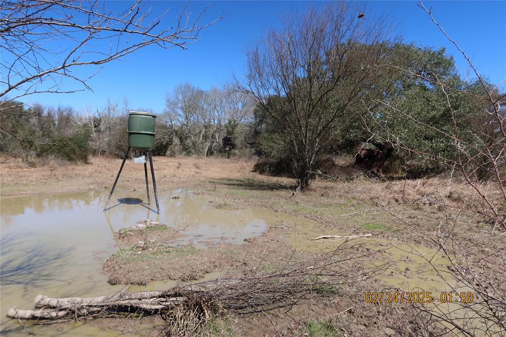 1746 Cr 103, Columbus, Texas image 23