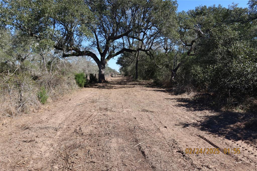 1746 Cr 103, Columbus, Texas image 28