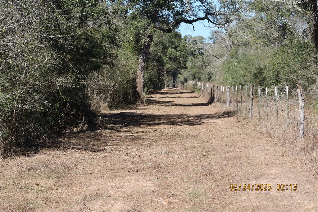 1746 Cr 103, Columbus, Texas image 45