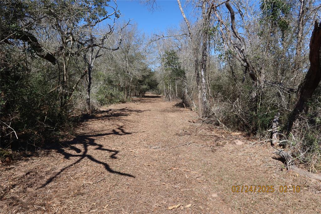 1746 Cr 103, Columbus, Texas image 38