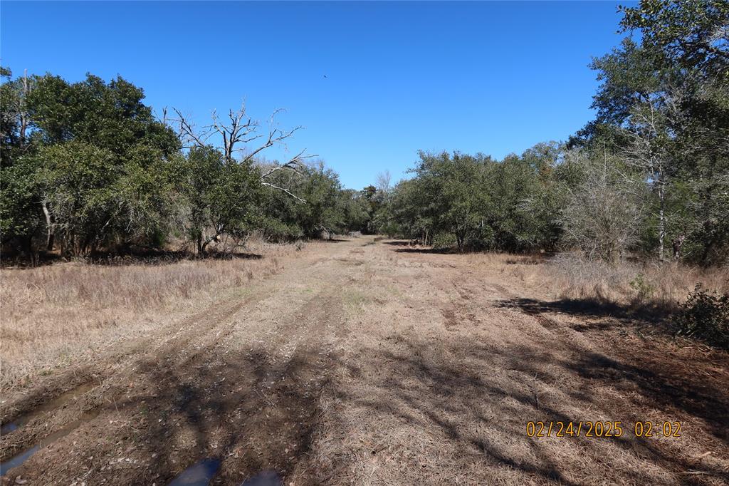 1746 Cr 103, Columbus, Texas image 33