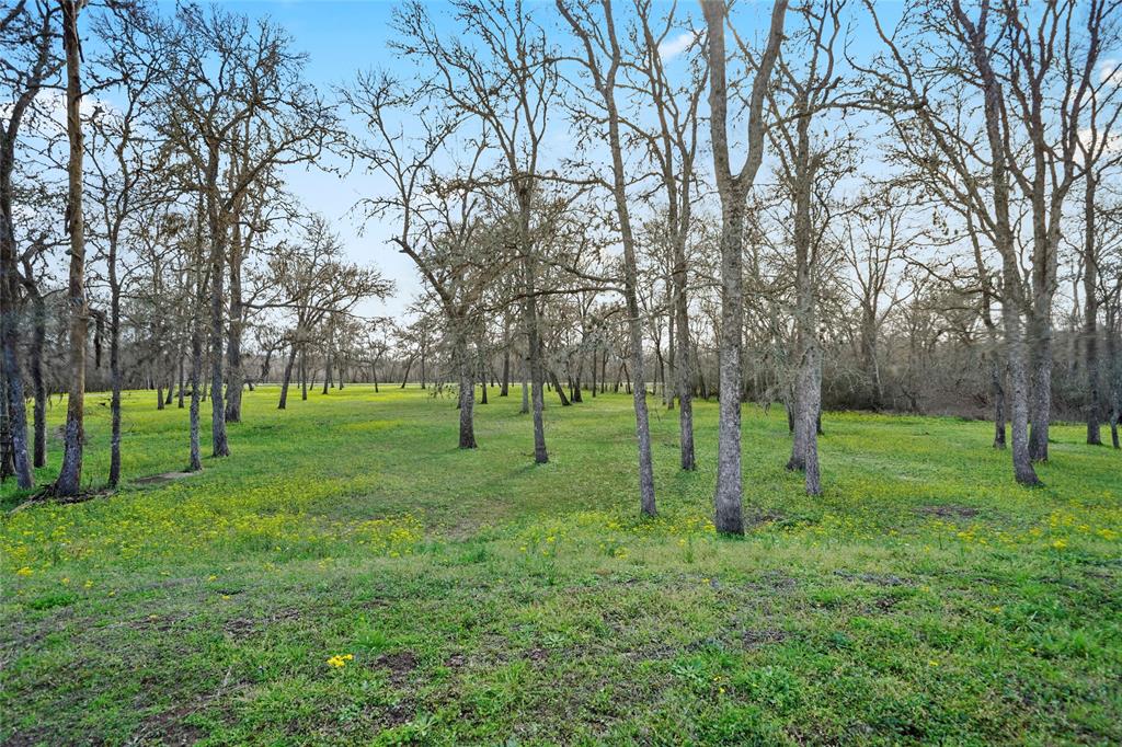 12201 Fm 2759 Road Rd, Richmond, Texas image 6