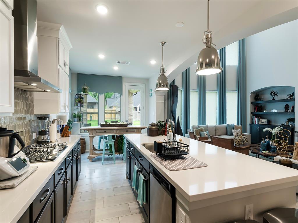 431 Patina Drive, Montgomery, Texas image 3
