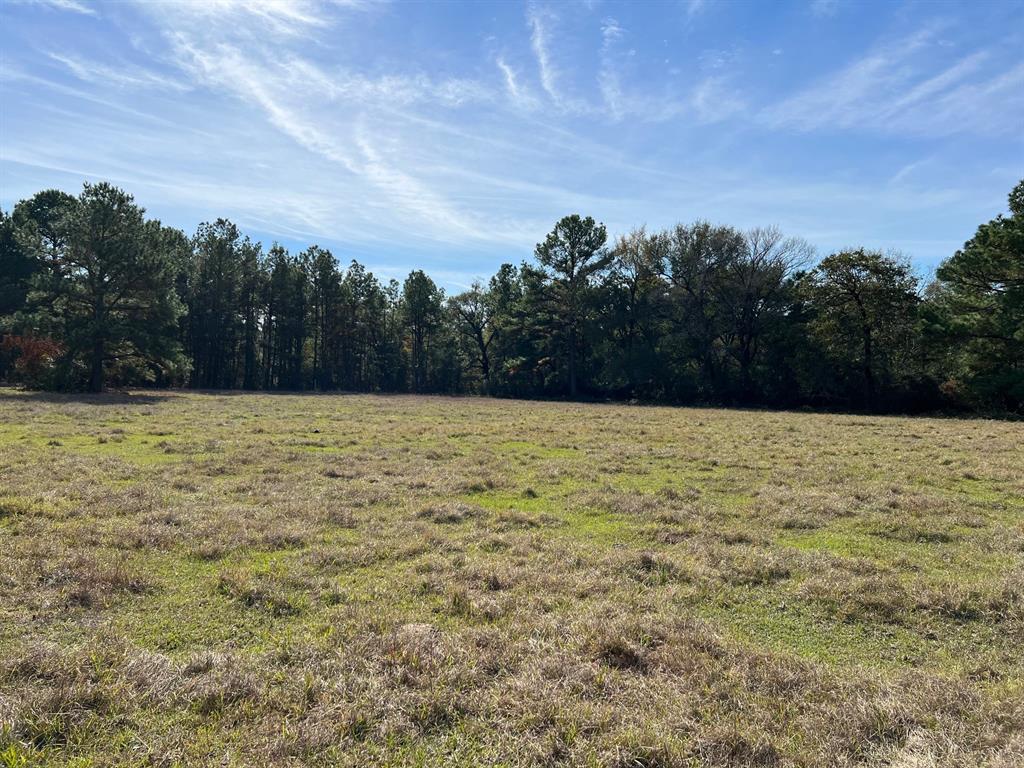 County Road 446, Navasota, Texas image 6