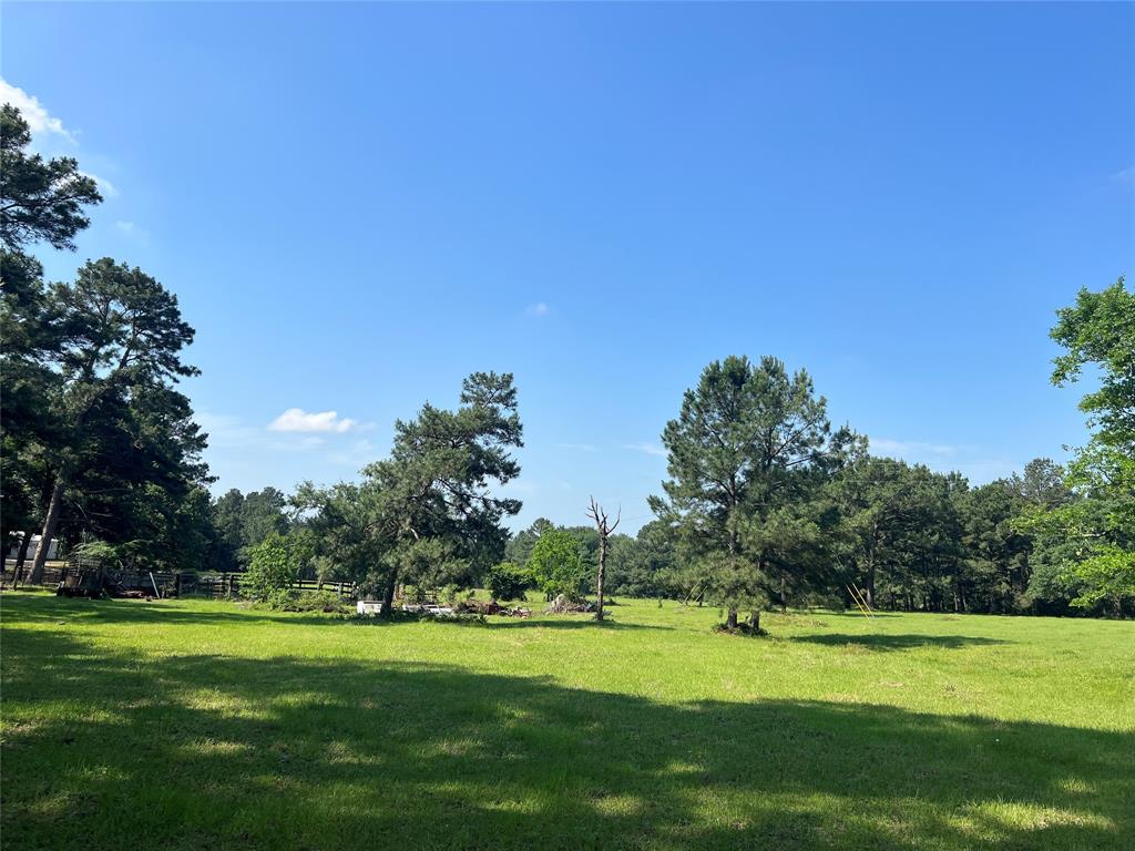 County Road 446, Navasota, Texas image 18