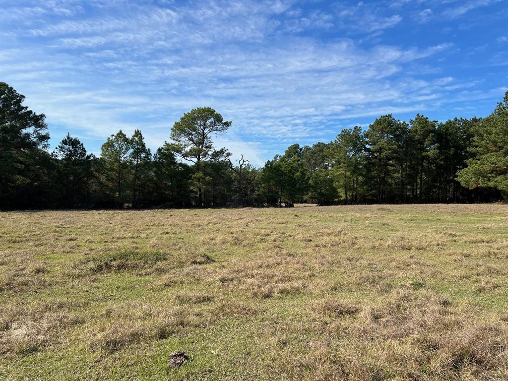 County Road 446, Navasota, Texas image 5