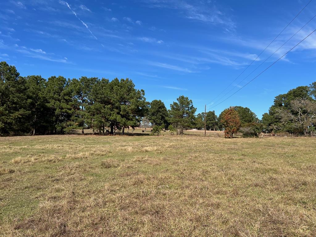 County Road 446, Navasota, Texas image 7