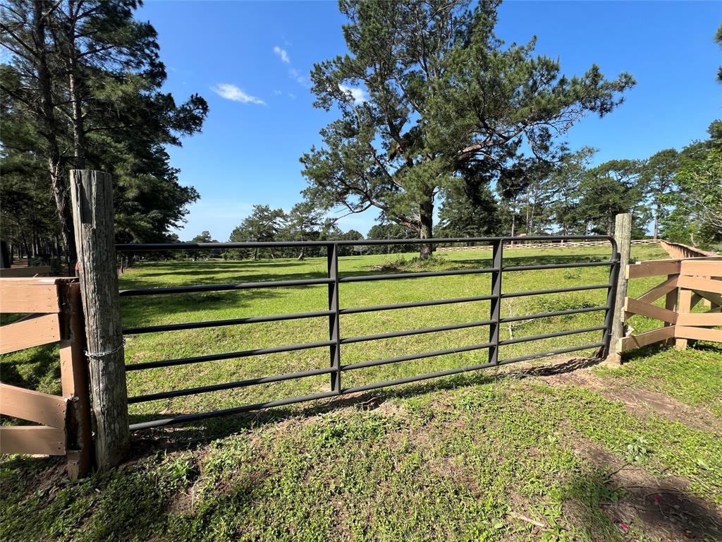 County Road 446, Navasota, Texas image 1