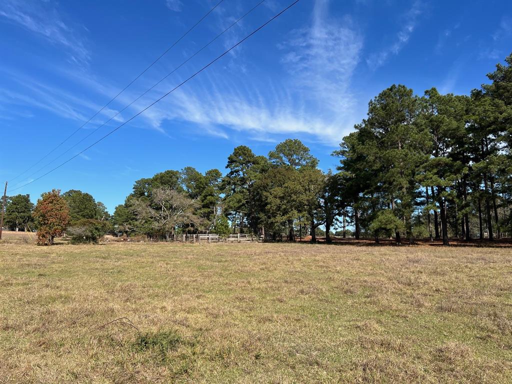 County Road 446, Navasota, Texas image 8