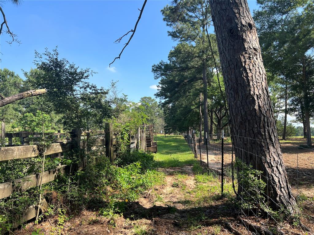 County Road 446, Navasota, Texas image 17