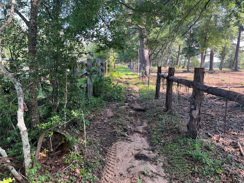 County Road 446, Navasota, Texas image 2