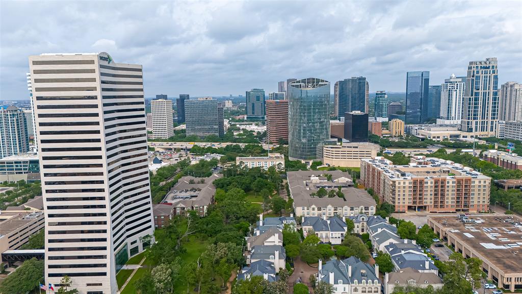 5 Briar Dale Court, Houston, Texas image 23
