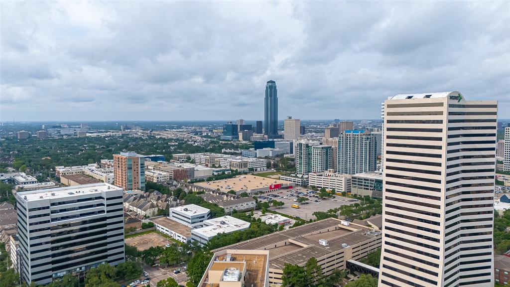 5 Briar Dale Court, Houston, Texas image 24