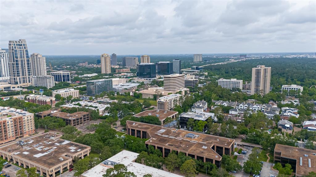 5 Briar Dale Court, Houston, Texas image 21