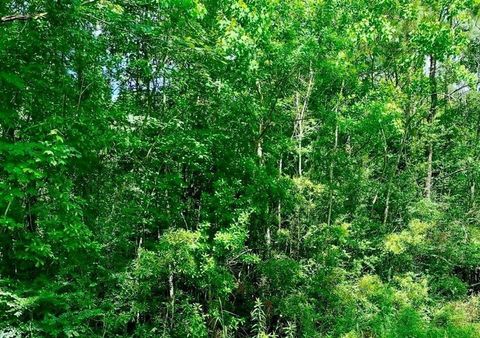Photo of 0 Ferito, Buna, TX 77612 (MLS # 3681282)